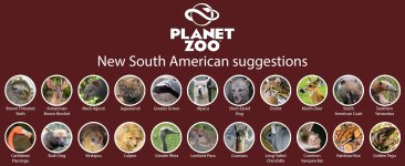New South American Animals.jpg