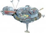 tbird 5.jpg