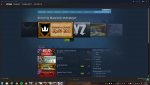Steam MMO page.jpg
