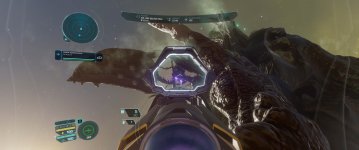 Conda likes Trees.jpg