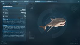 Otodus.jpg