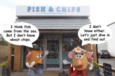 fishandchipshop.jpg