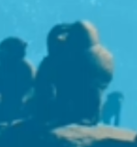 1727287940905.png