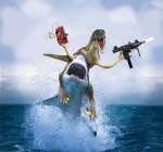 velociraptor-riding-a-shark.jpg