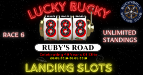 Lucky Bucky Landing Slots Scoreboard #6(1).png