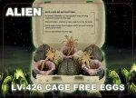 necaalieneggs.jpg necaalieneggs.jpg