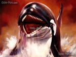 19717_smert-sredi-ajsbergov_or_orca-the-killer-whale_1600x1200_(www.GdeFon.ru).jpg