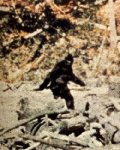 Bigfoot-275.jpg