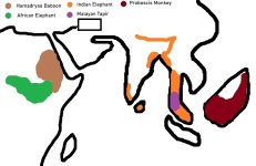 Elephant Challenge Initial Plan.jpg