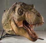 Profiles-in-history-jurassic-park-t-rex-model-x425.jpg