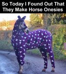 horse onesie.jpg