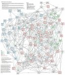 Rares Network.jpg
