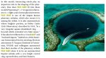 Atoll Txt.jpg