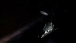 Screenshot_0024.jpg