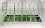 cage.jpg