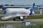 beluga.jpg