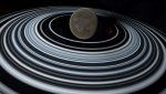 ringed ammonia.jpg