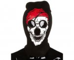 PIRATE-lg.jpg