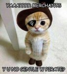 sadpiratecat.jpg