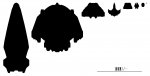 ships card copy.jpg
