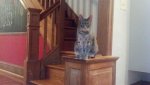 IMG_20130828_083613_185.jpg