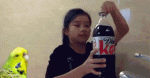 eCMn6Hd.gif