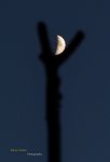 IMG_3467-Low-Res-Web.jpg