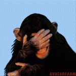 laughingchimp.gif