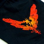 pirate_t-shirtsleeve.jpg