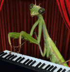 Praying_Mantis_PlayingPianoAN200.gif
