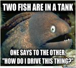 bad-joke-eel-is-a-riot_o_997748.jpg