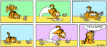 ga800224.gif