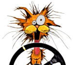 Bill The Caat hood art.png