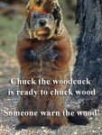 woodchuck copy.jpg