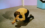 trek.gif