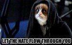 meme_grumpy_cat.jpg