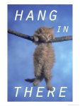 hang in there.jpg