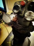 cockpit monkey.jpg