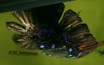 HighResScreenShot_2019-03-08_20-23-54.jpg