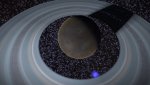 Ringed AW.jpg