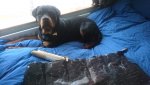 2017-04-06 001.jpg 2017-04-06 001.jpg