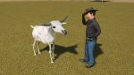 goaty.jpg