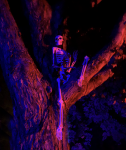 DmitriUpATree sm.png