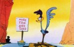 roadrunner-free-bird-seed-1.jpg