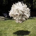 Chien de Marc Zuckerberg de Facebook.jpg