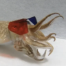 CaterAxe