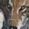 WesternWolf