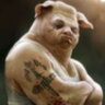 Oinker