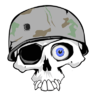 Wulgrin