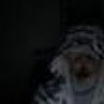 SIR Phist